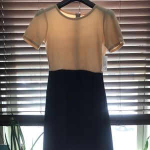 Lularoe Dress - NEW with tags